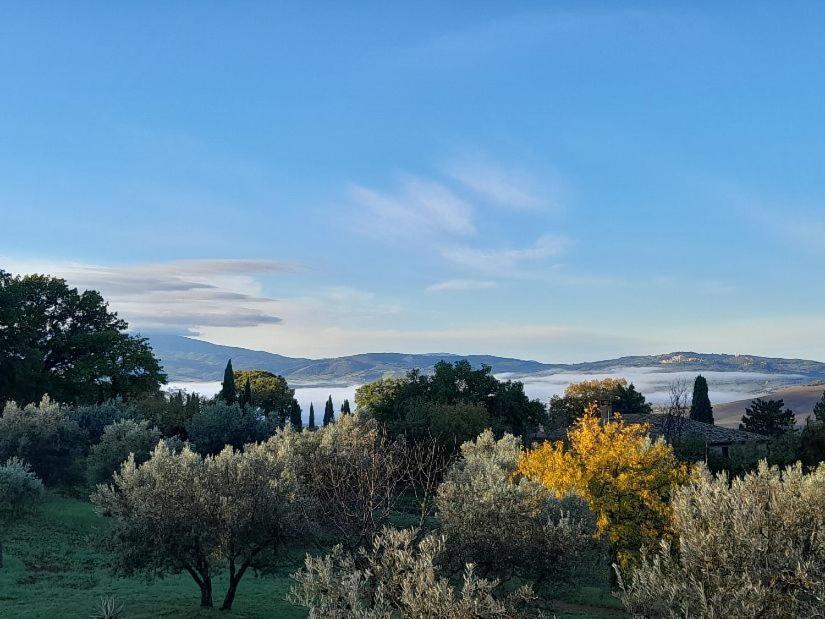 Agriturismo Barbi Monticchiello Exterior photo
