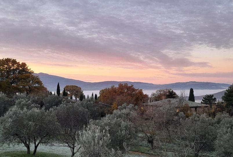 Agriturismo Barbi Monticchiello Exterior photo